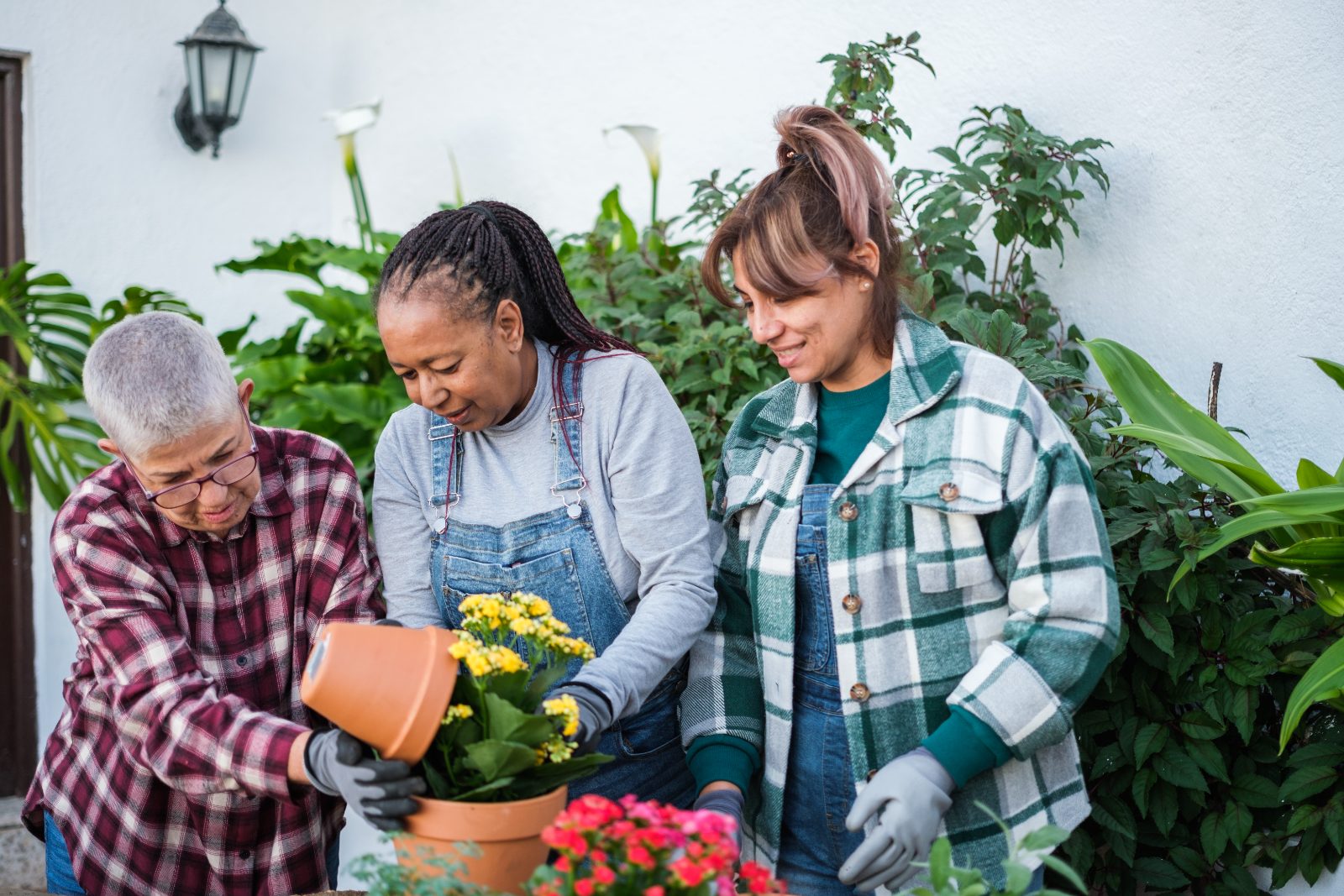 Three friends potting yellow flowers together in a garden